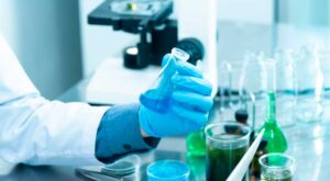 Patent Registration Services